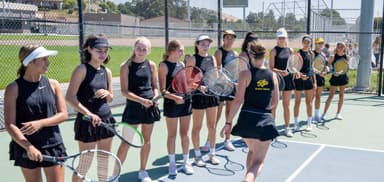 Replacement nets for four outdoor courts + ball hoppers + practice baskets