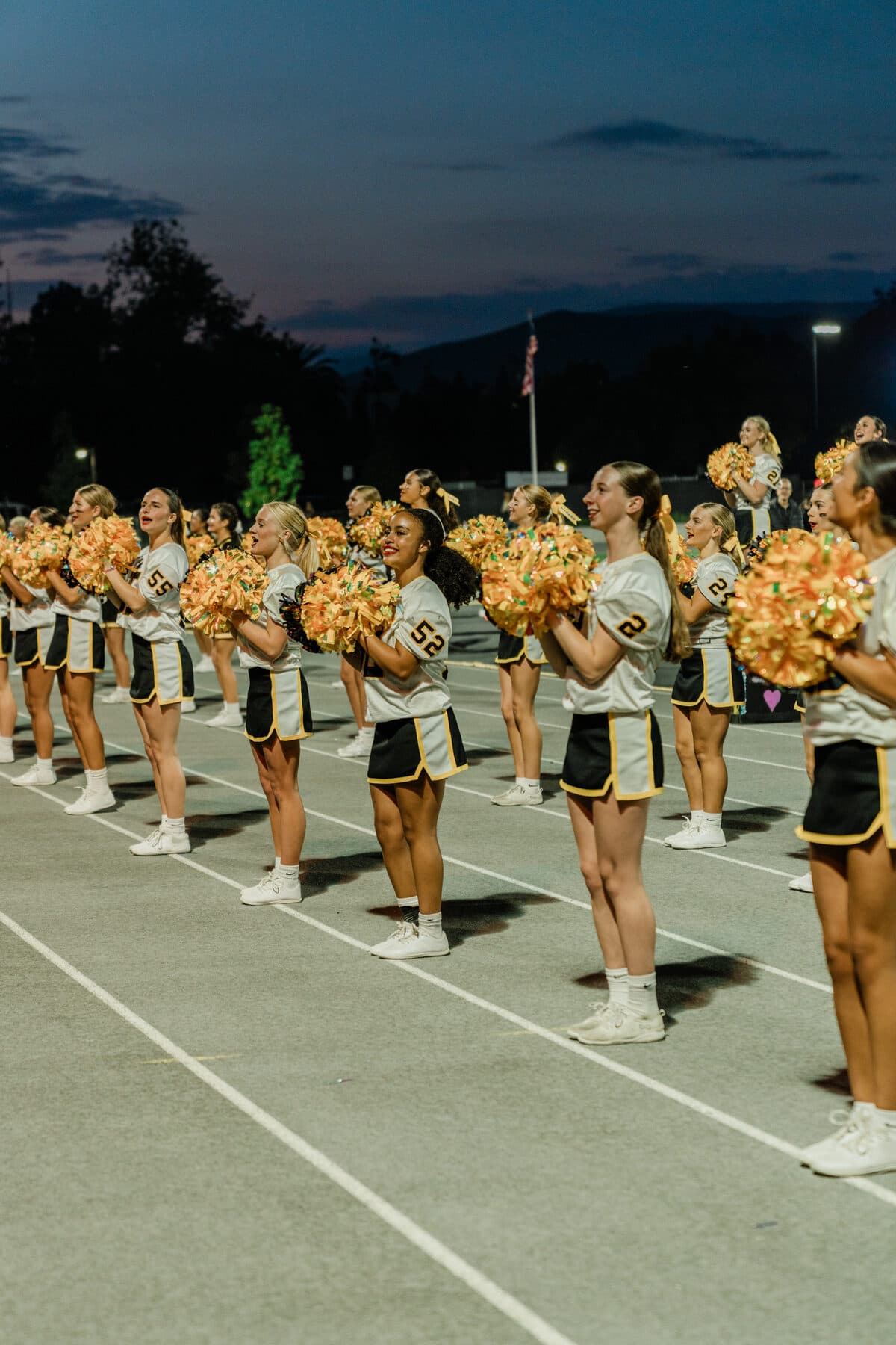 Tiger Cheer action photo 2
